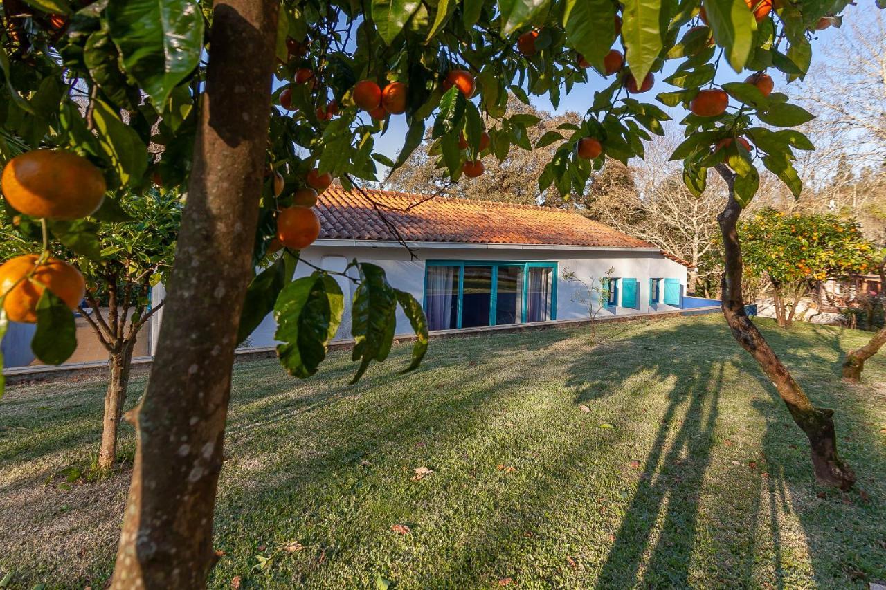 Vale Da Silva Villas - Homes อัลแบร์กาเรีย-อา-แวญา ภายนอก รูปภาพ