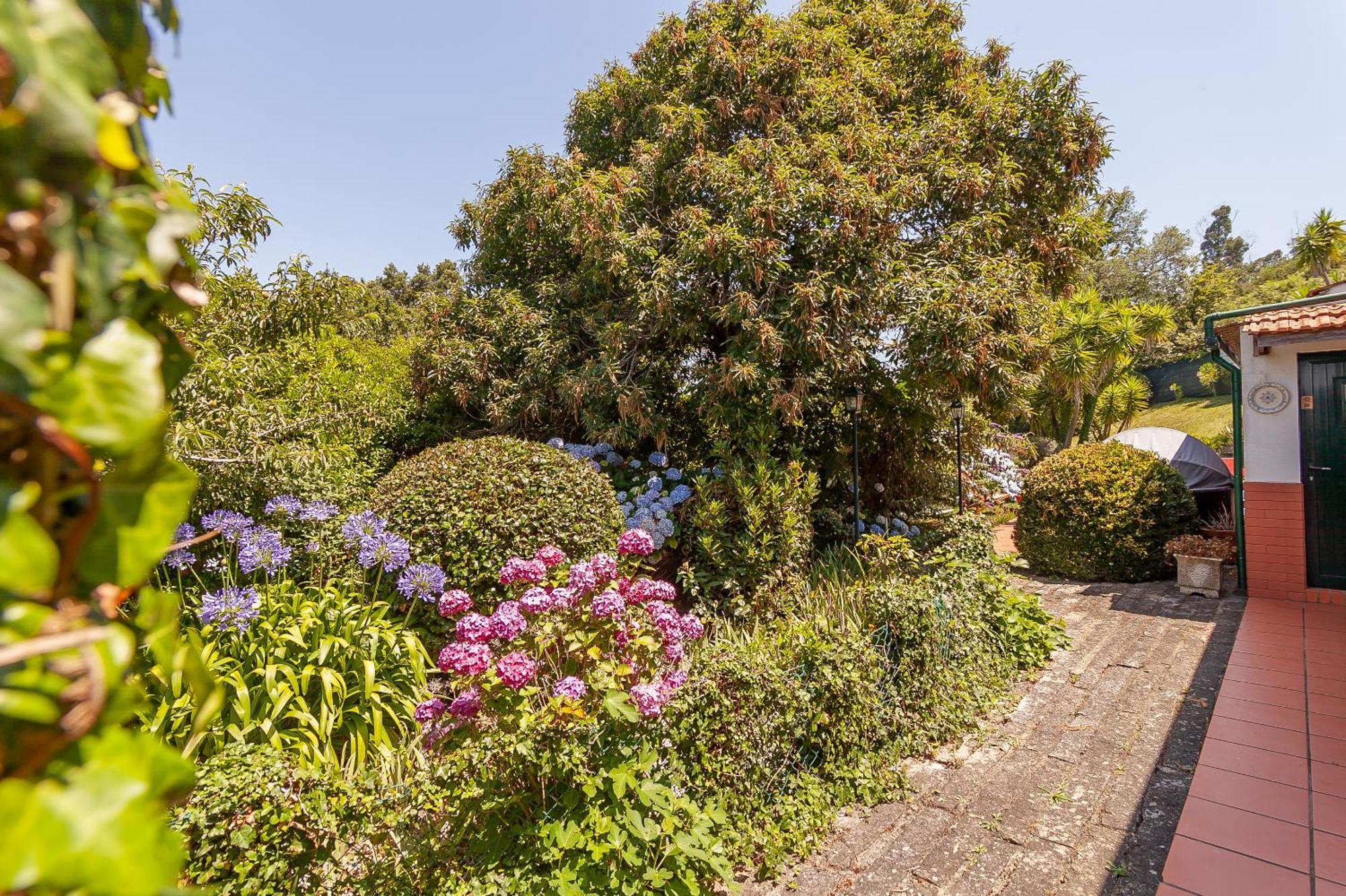 Vale Da Silva Villas - Homes อัลแบร์กาเรีย-อา-แวญา ภายนอก รูปภาพ